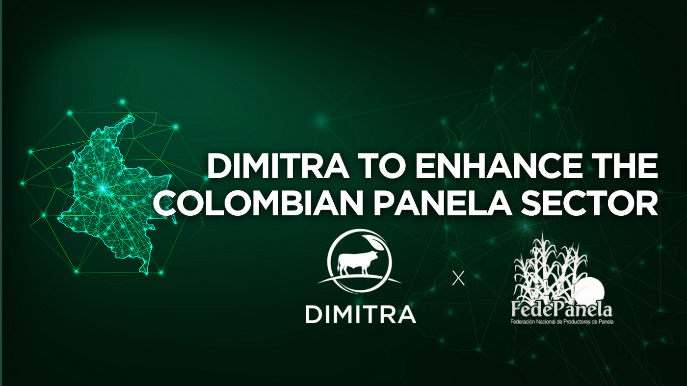 Dimitra Collaborates on Digitization of the Colombian Panela (Sugar Cane) Sector