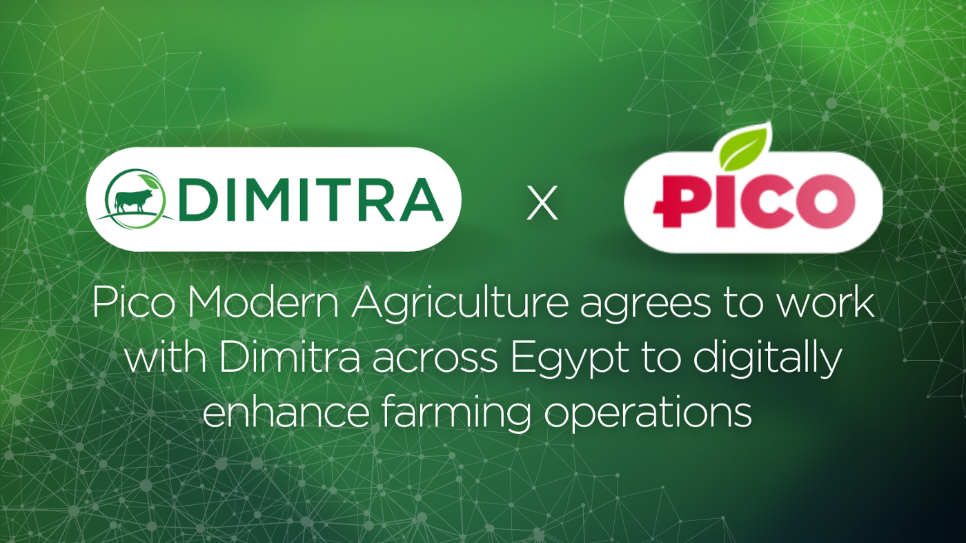 Pico Modern Agriculture agrees to work with Dimitra across Egypt to digitally enhance farming operations
