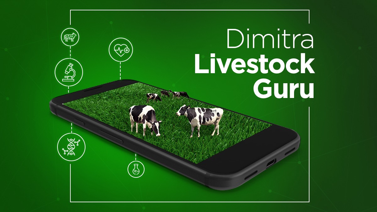 Dimitra Livestock Guru