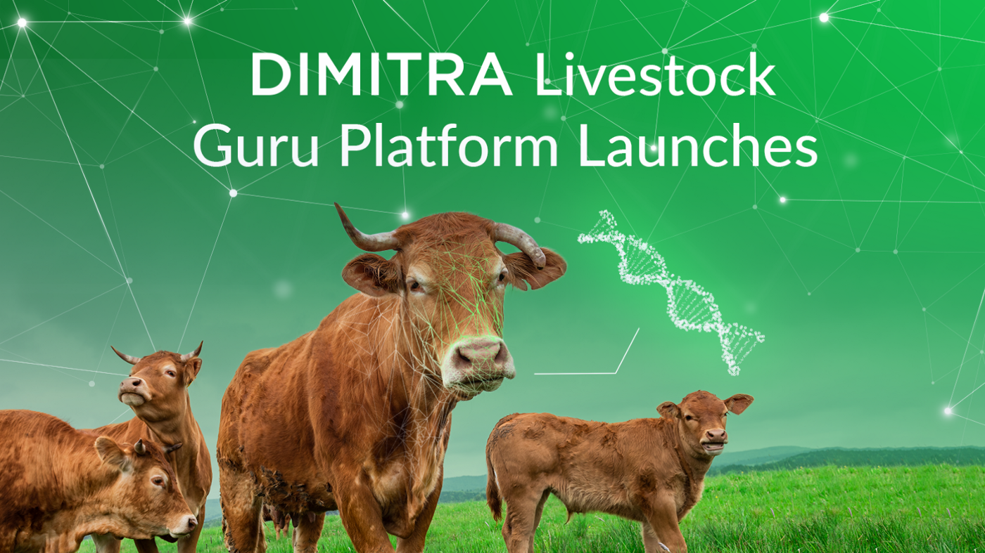 Dimitra Livestock Guru Platform Launches