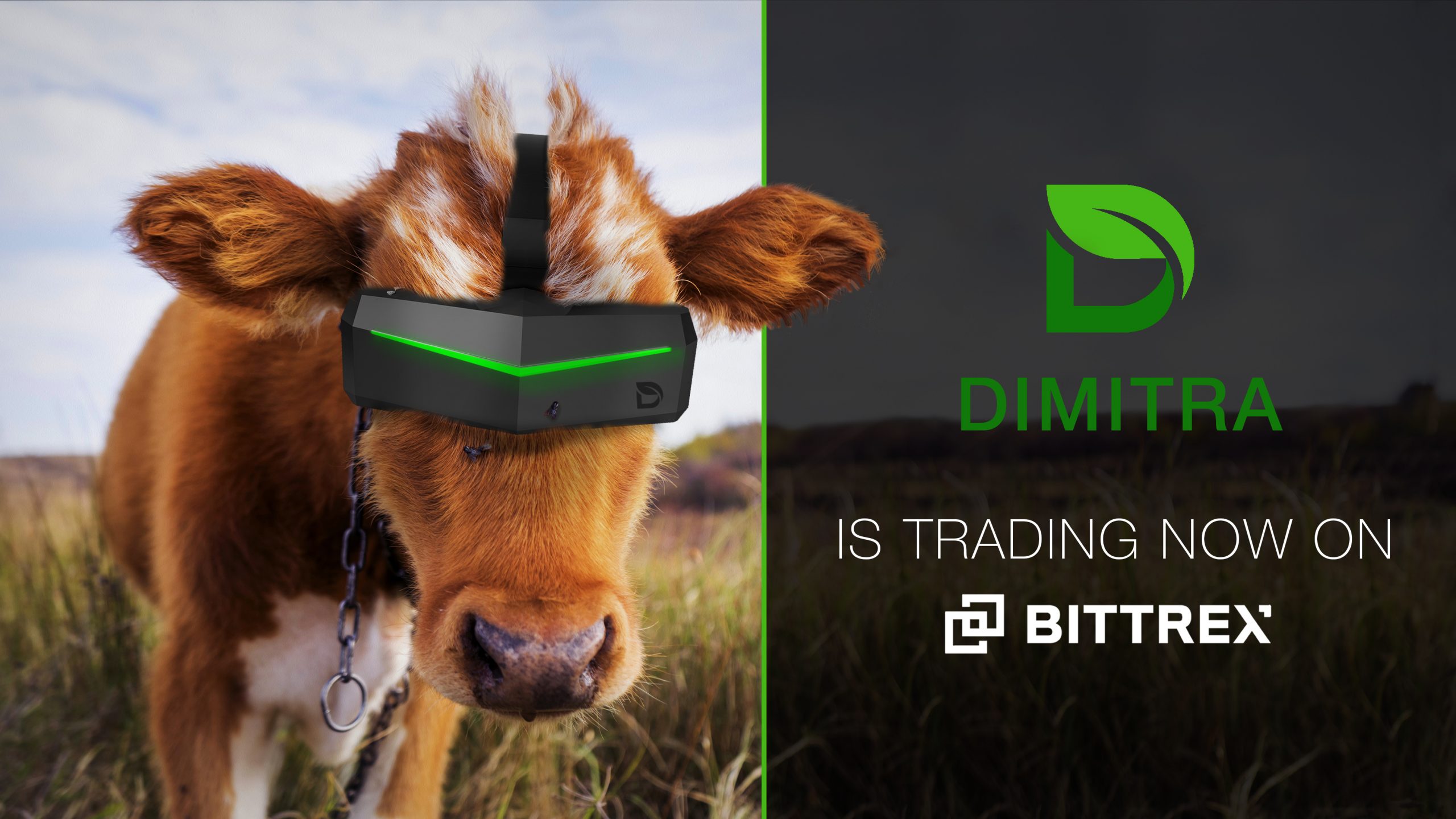 $DMTR is open for trading on Bittrex!