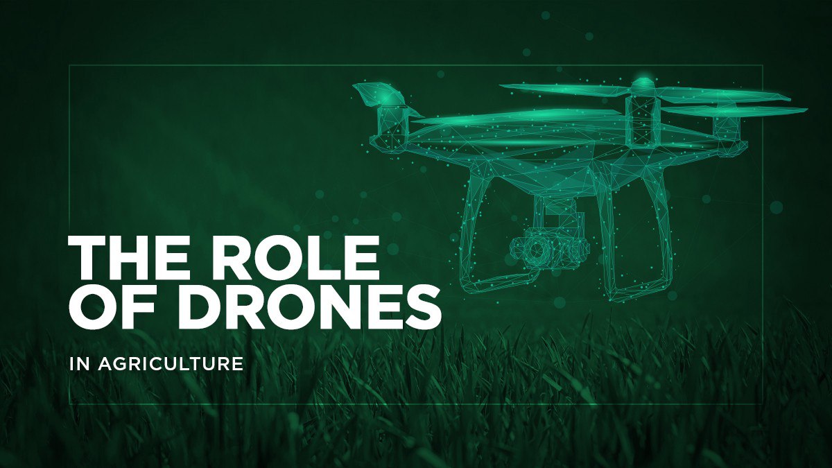 The Role of Drones in Agriculture