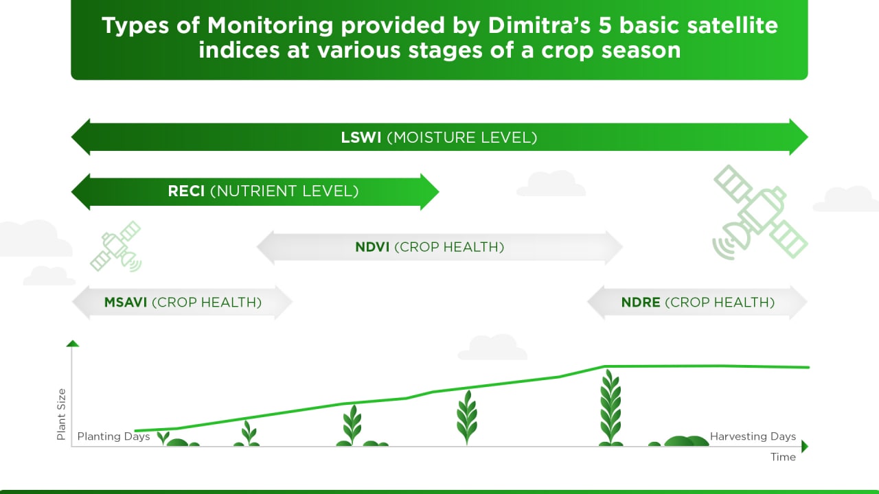 Dimitra releases new satellite reports to improve farming performance