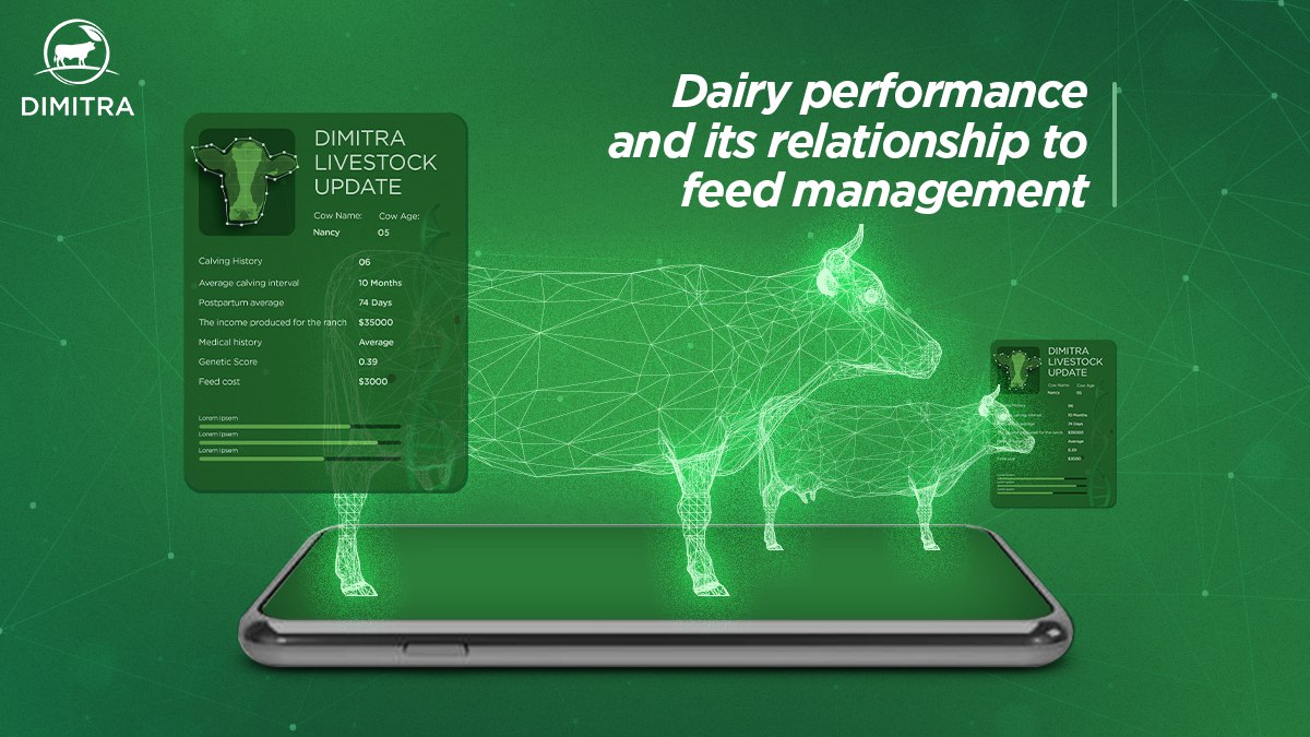 Dairy Performance and its Relationship to Feed Management