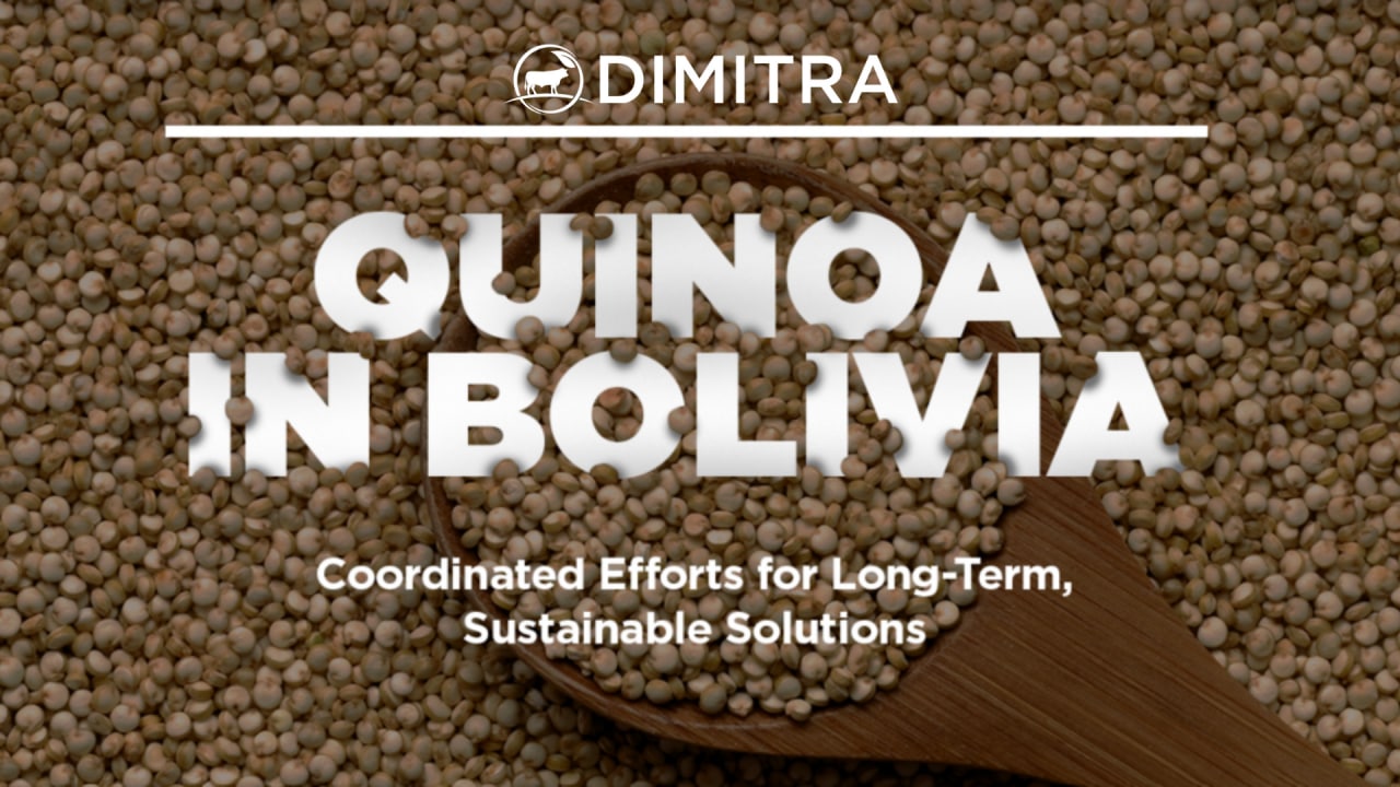 Quinoa in Bolivia