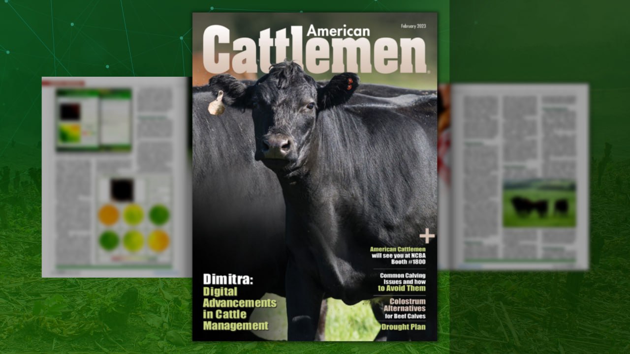 American Cattlemen February 2023