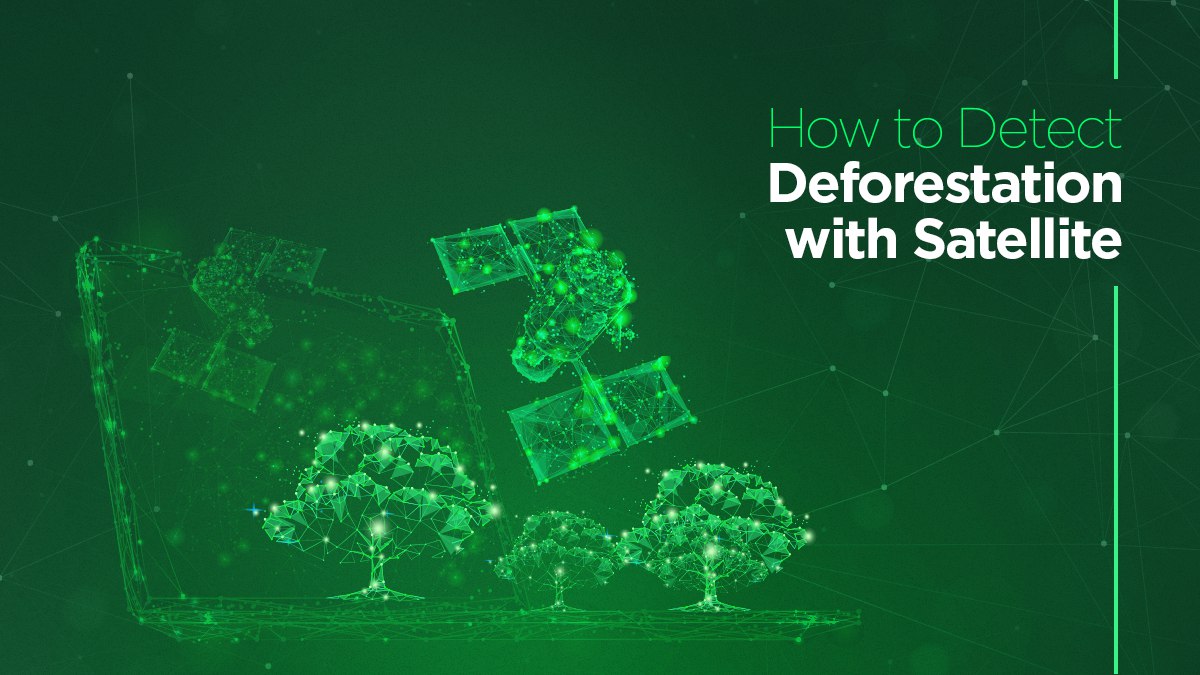 How to Detect Deforestation with Satellite