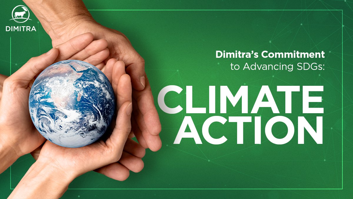 Dimitra’s Commitment to Advancing SDGs: Climate Action