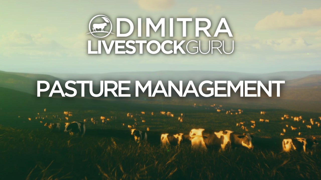 Dimitra Livestock Guru Pasture Management