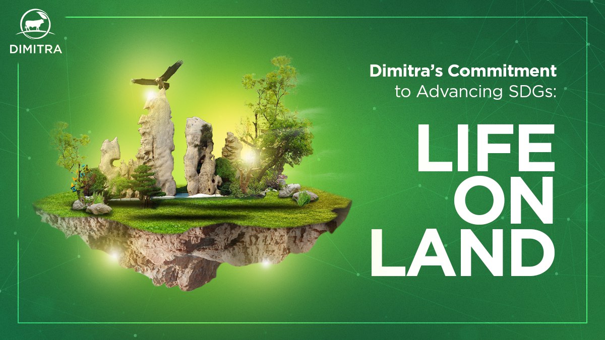 Dimitra’s Commitment to Advancing SDGs: Life on Land