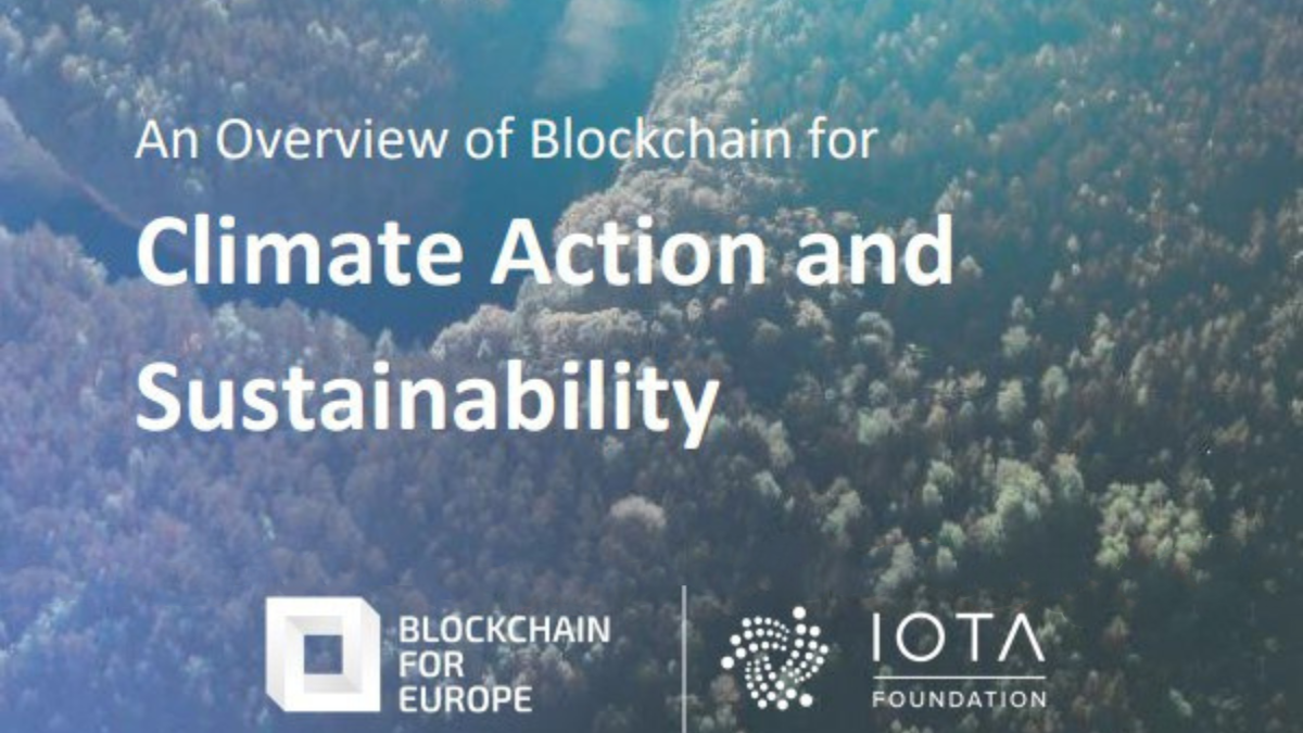 An Overview of Blockchain for Climate Action and Sustainability