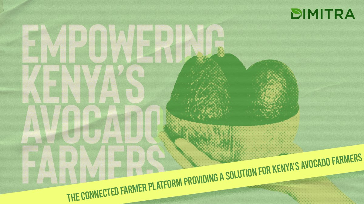 Empowering Kenya’s Avocado Farmers with OMA