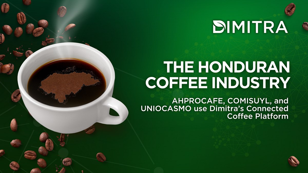 Dimitra and the Honduran Coffee Industry