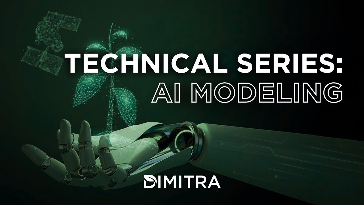 Dimitra Technical Series: Artificial Intelligence Modeling