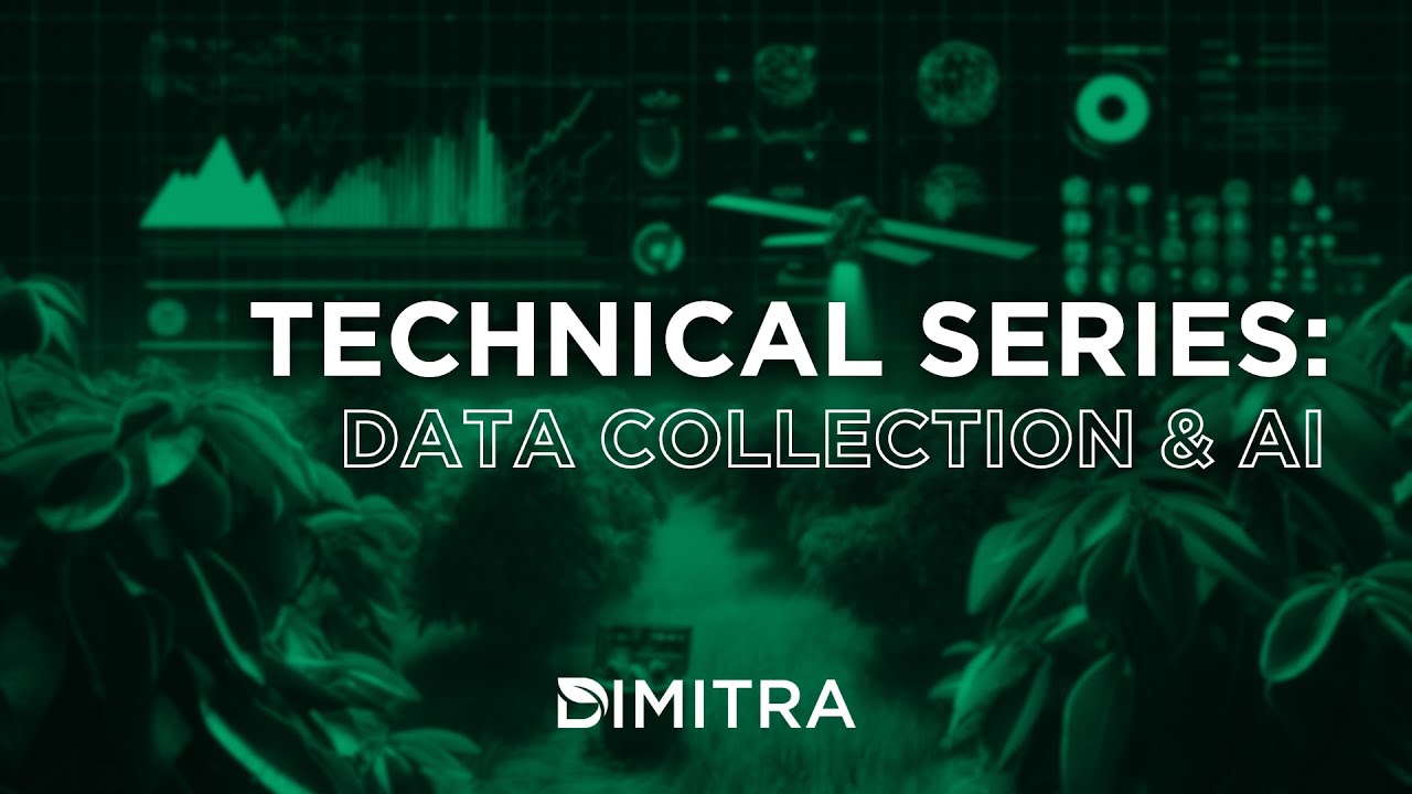 Dimitra Technical Series: Data Collection & AI