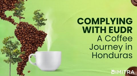 Complying with EUDR: A Coffee Journey in Honduras