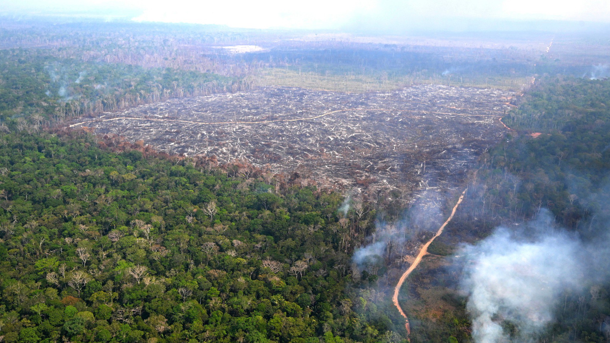 EU proposes delay to deforestation regulation