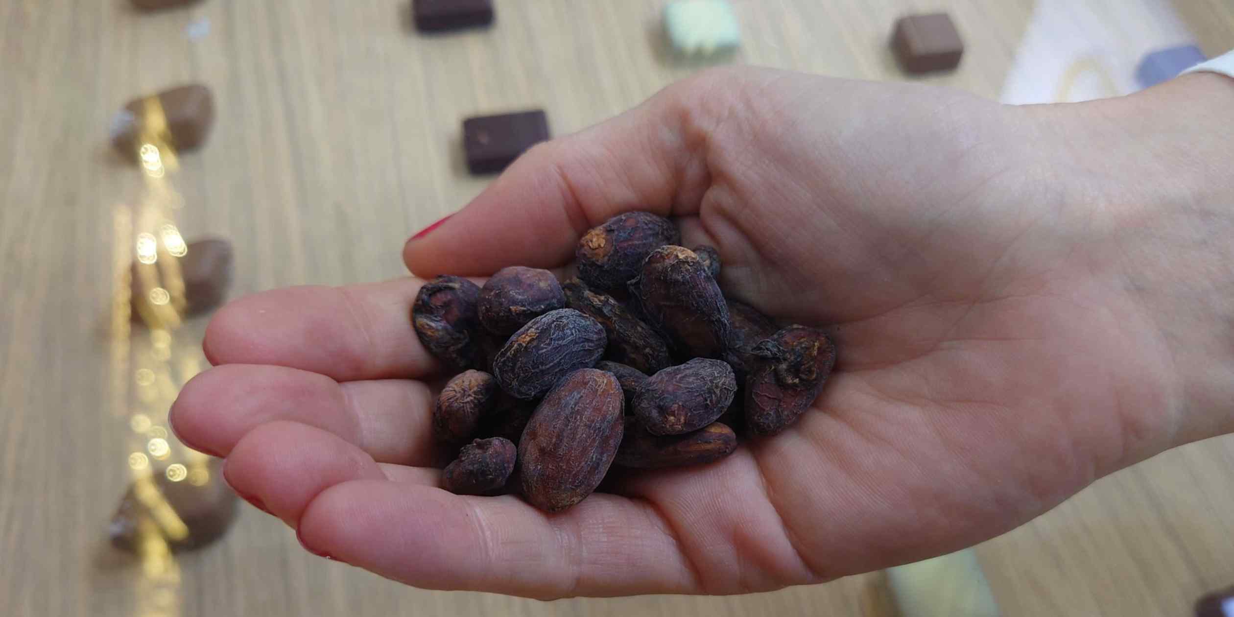 Indonesia cocoa crunch stuns chocolate makers in Asia