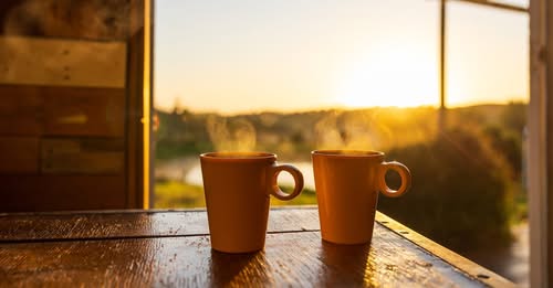 Future of coffee: How it must adapt to survive