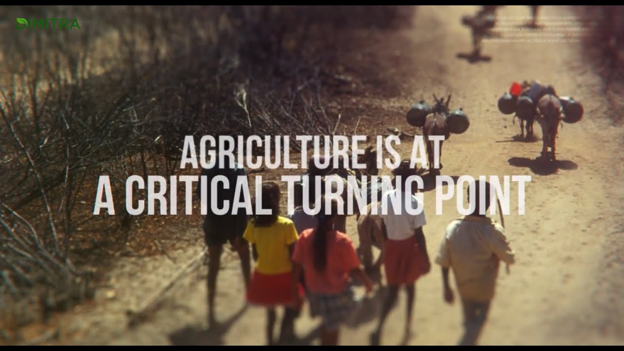 Dimitra Introduction