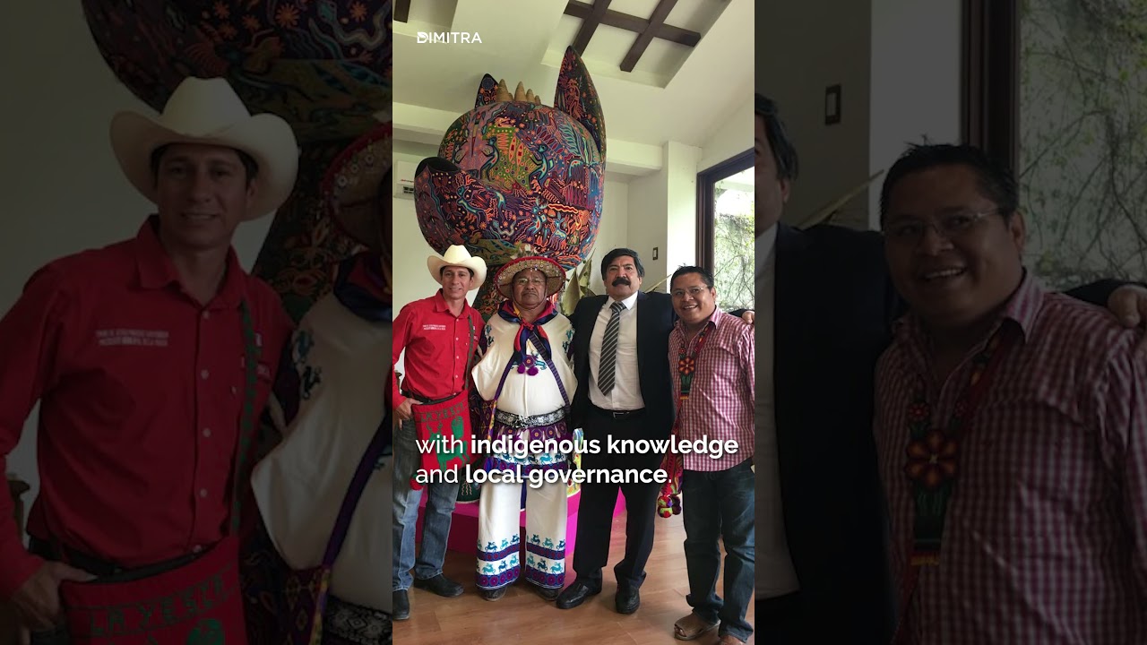 Sierra de Álica: Indigenous Stewardship Meets Modern Verification