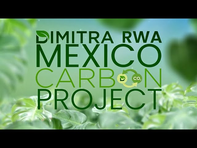 Protecting 23,000 Hectares in Mexico's Sierra de Álica