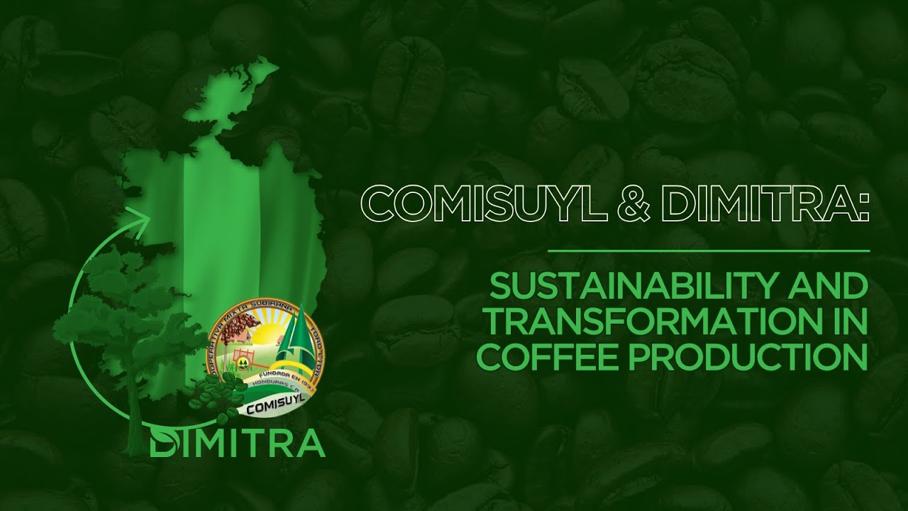COMISUYL: Deforestation-Free Coffee from Honduras to Europe
