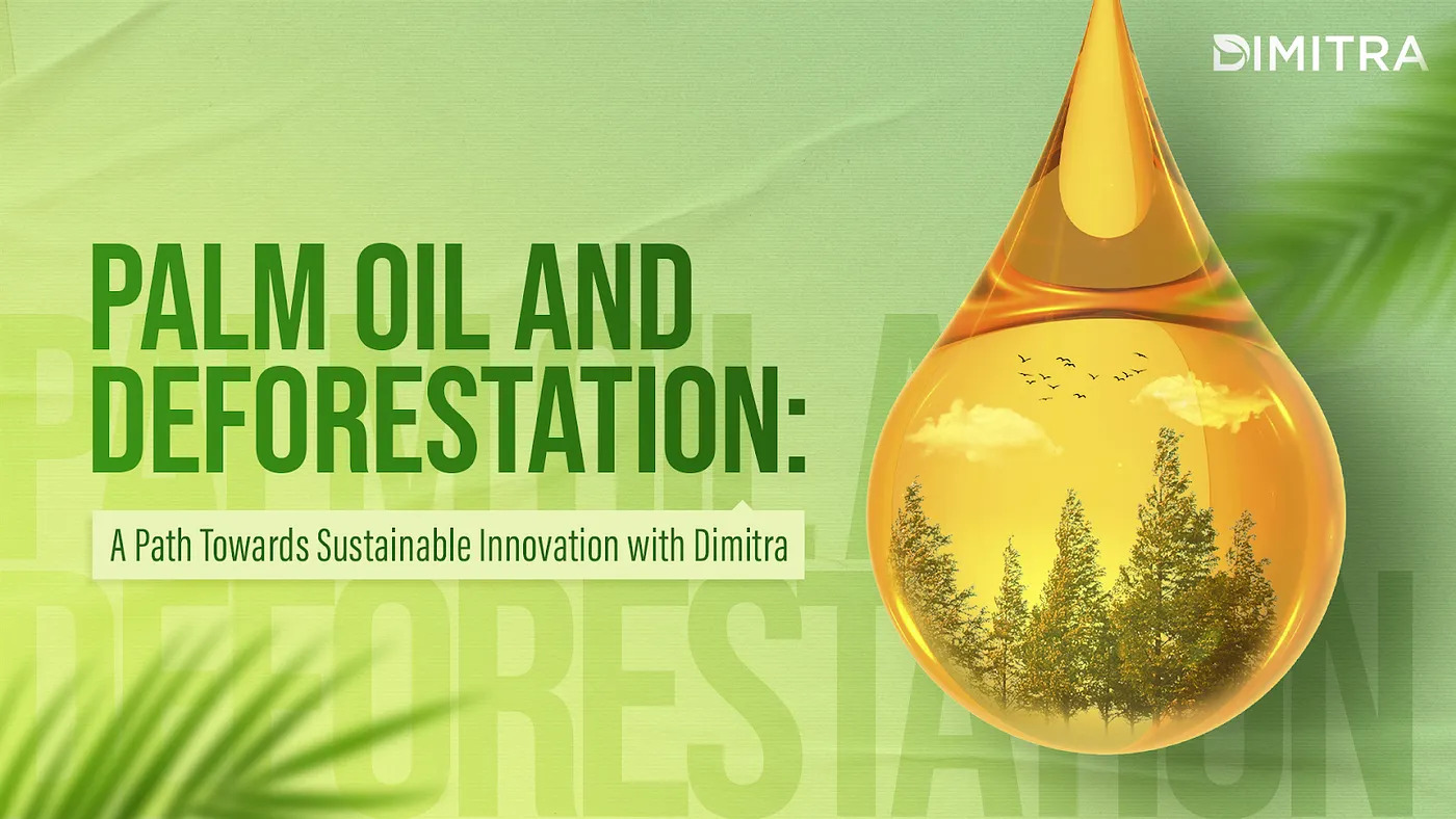 Palm Oil and Deforestation: A Path Forward for Indonesia