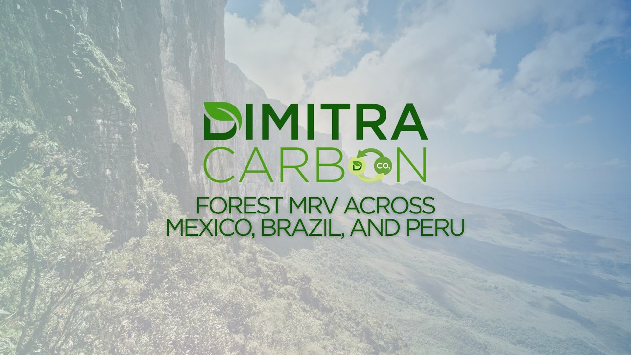Dimitra Carbon: Forest MRV Across Mexico, Brazil, and Peru